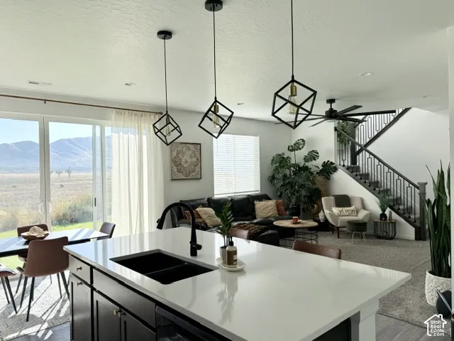 Open Layout, Modern!