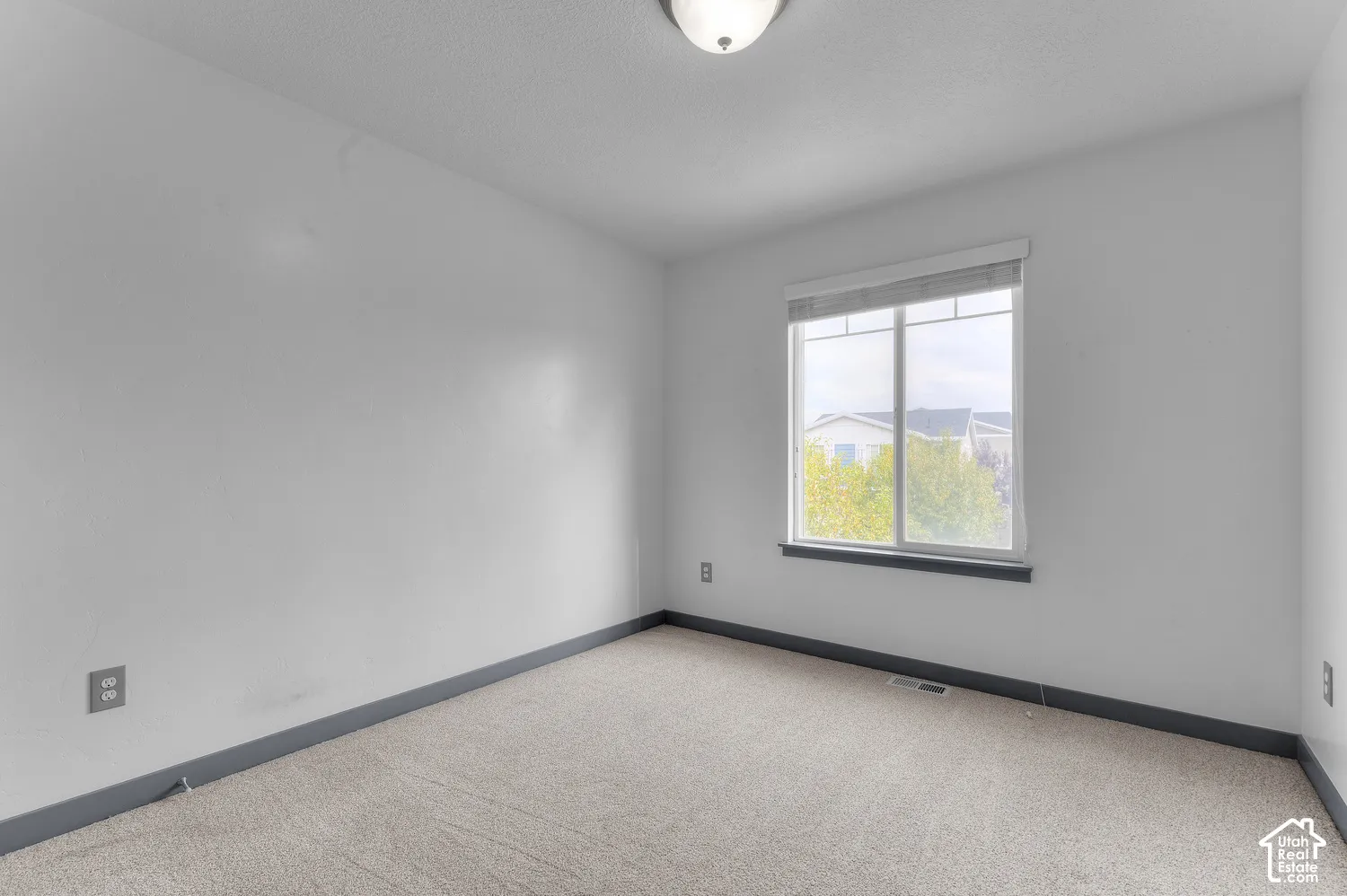 Neutral wall color, carpet flooring, window with a roller shade, flush mount ceiling light