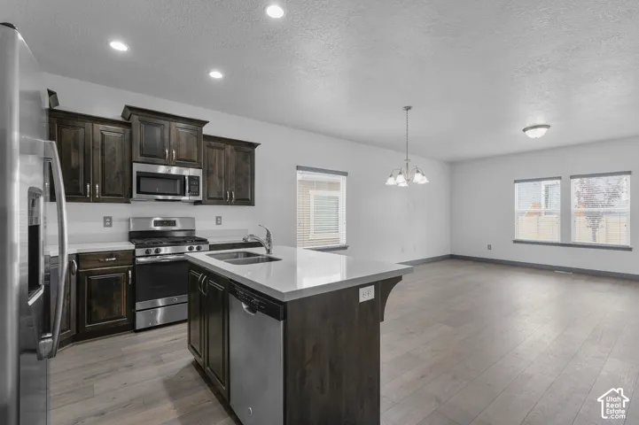 Open-concept living space with wood-finish flooring
