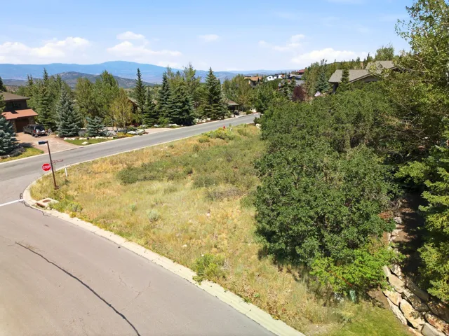 Mountainous backdrop, paved roads, natural landscaping, established trees, stone retaining wall