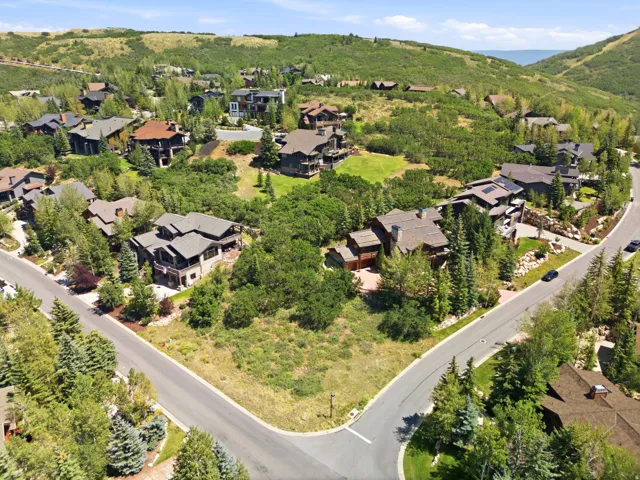 Expansive lot surrounded by mature trees, featuring a paved street frontage and established neighboring residences