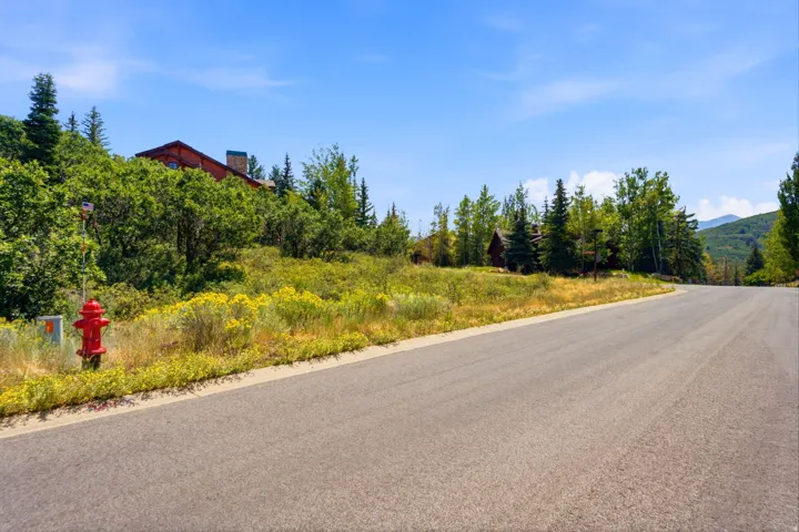 Paved road with a natural hillside landscape, featuring mature trees and a distant mountain range