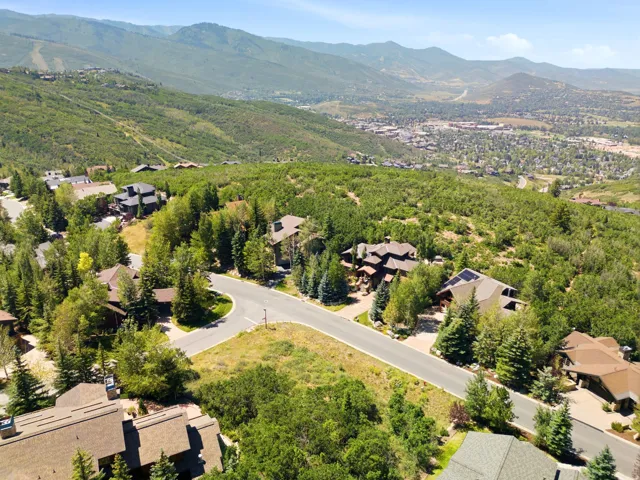 Expansive residential area featuring a paved street, surrounding homes with varied rooflines, and abundant mature trees and greenery