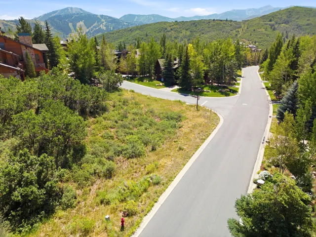 Expansive property featuring a paved road, mountainous backdrop, and mature trees