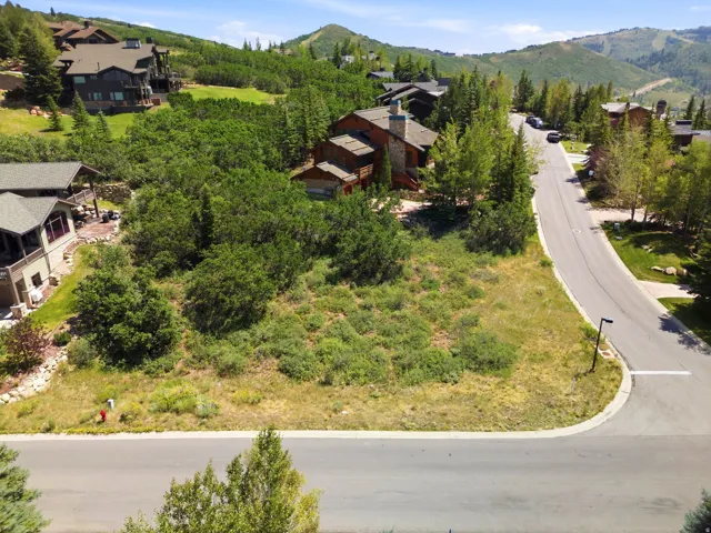 Expansive lot with natural landscaping, bordering a paved road and surrounded by mature trees
