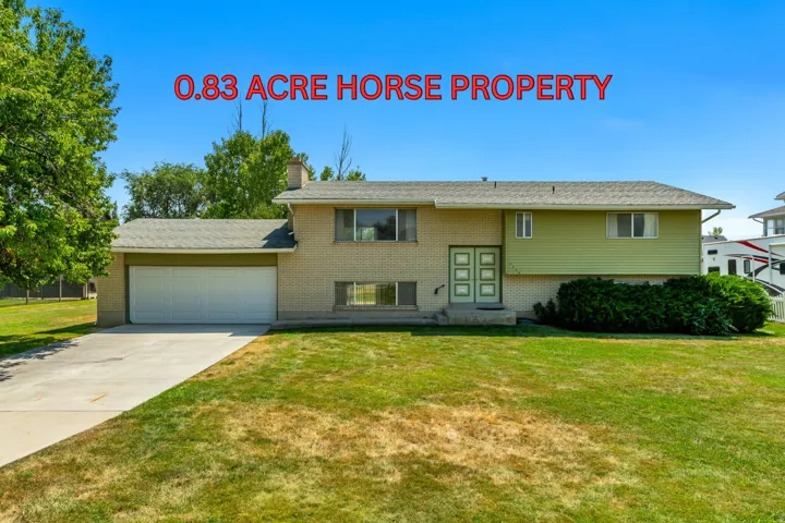 Up to 3 horses or large animals