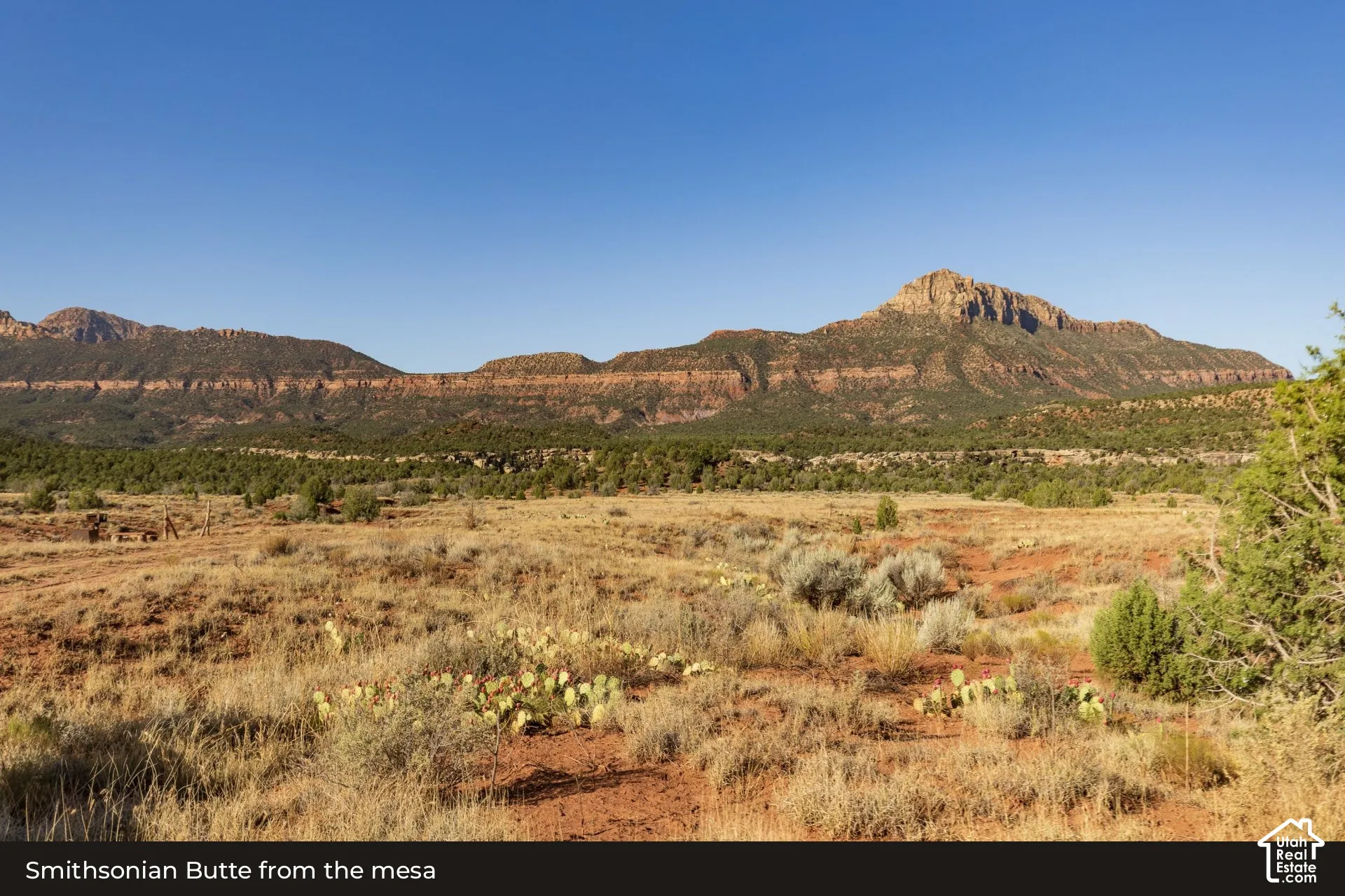 View: Red-rock skyline from the mesa
