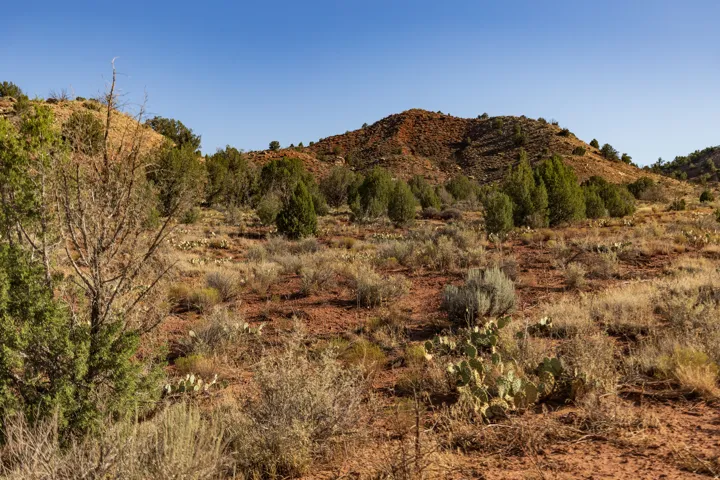 Red rock rise and native juniper on the property