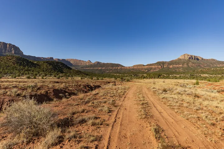 Dirt road access leading to the parcel