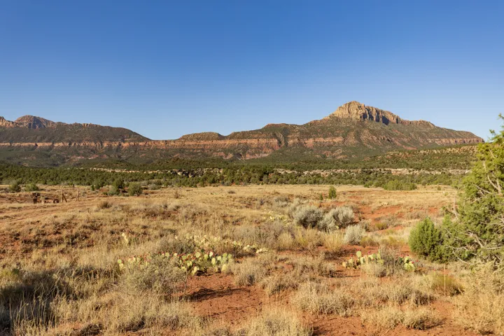Wide open desert with distant mesa views
