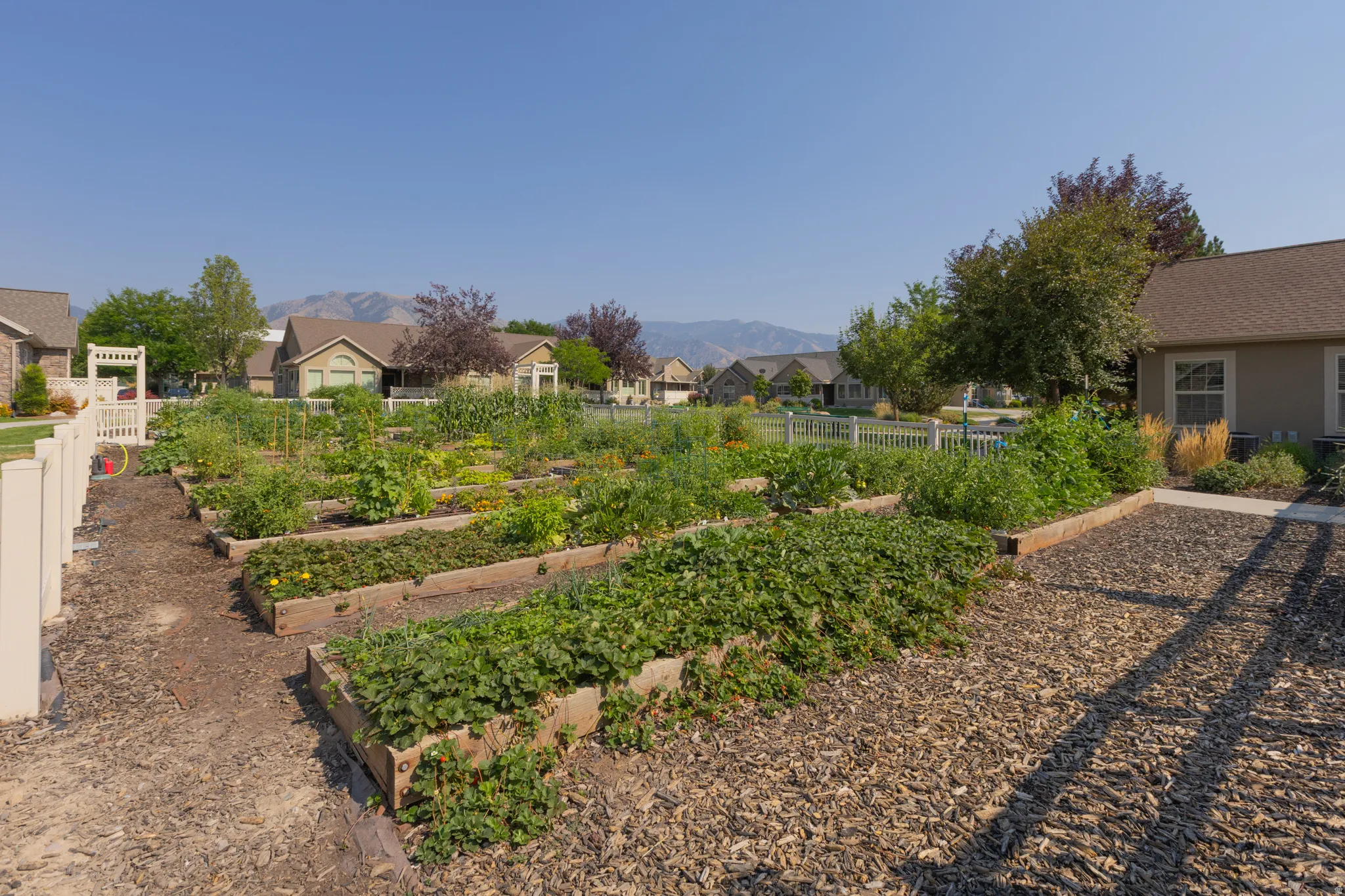 Community garden with multiple raised garden beds, wood chip pathways, and a white picket fence