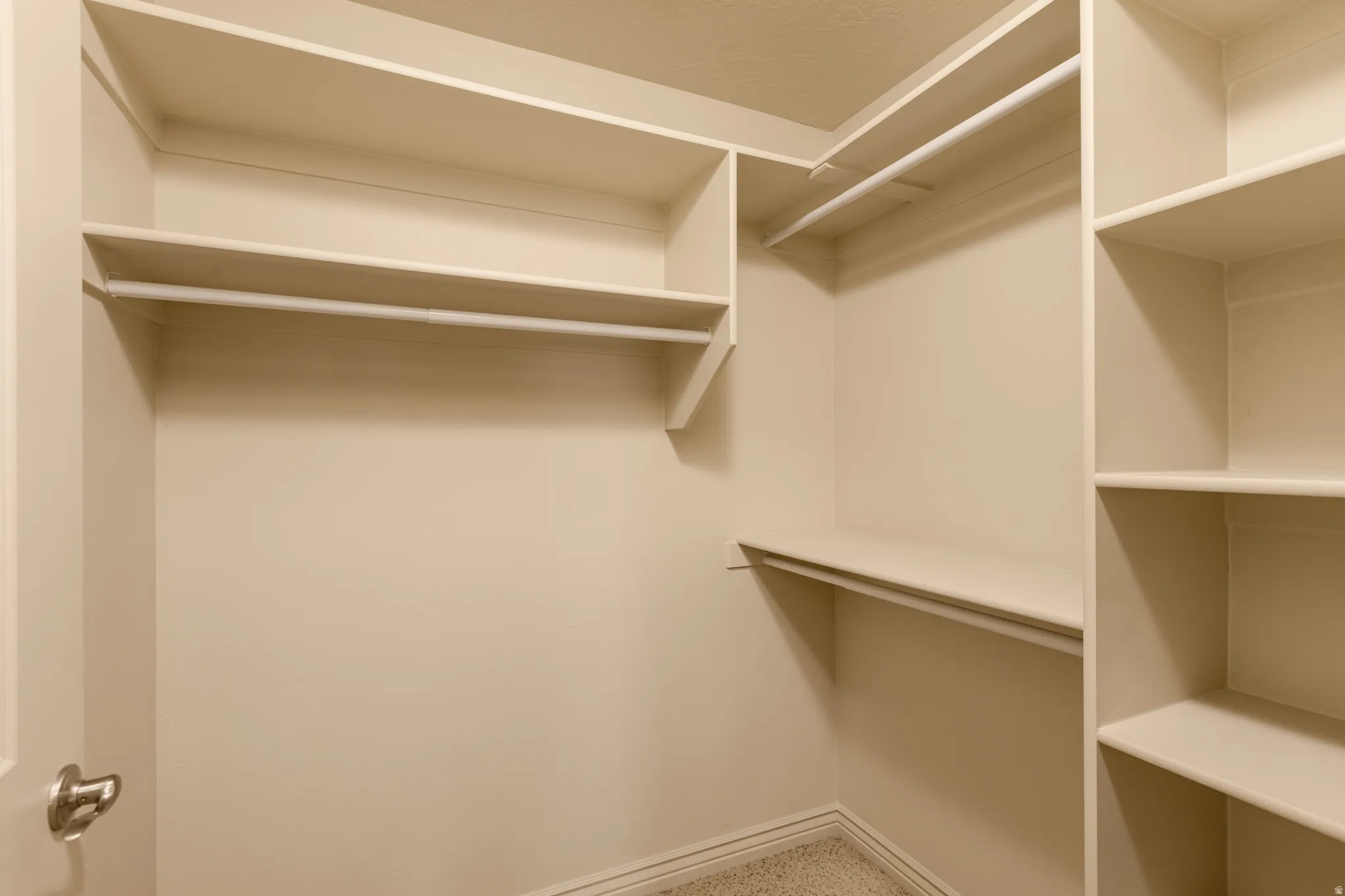 Walk-in closet with carpet flooring, multiple built-in shelves, and hanging rods