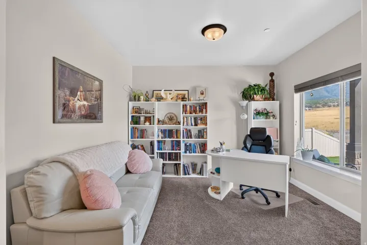 Recessed lighting, large window with blinds, light wall color, built-in shelving, and neutral carpeting