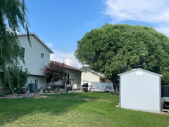 Expansive backyard featuring a manicured lawn, a large mature tree, and a light-colored storage shed