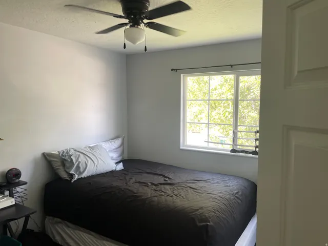 Flush-mounted ceiling fan with integrated lighting, large window with white framing, and neutral wall tones