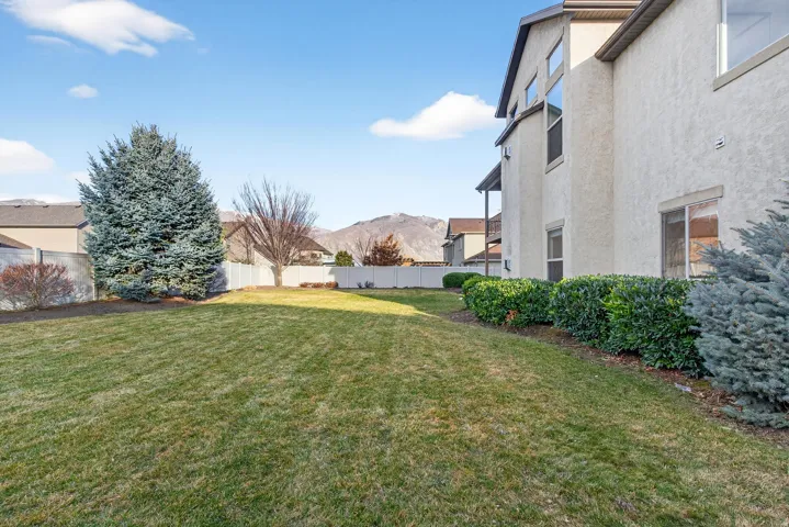 Expansive backyard with a manicured lawn, established evergreens, and a privacy fence