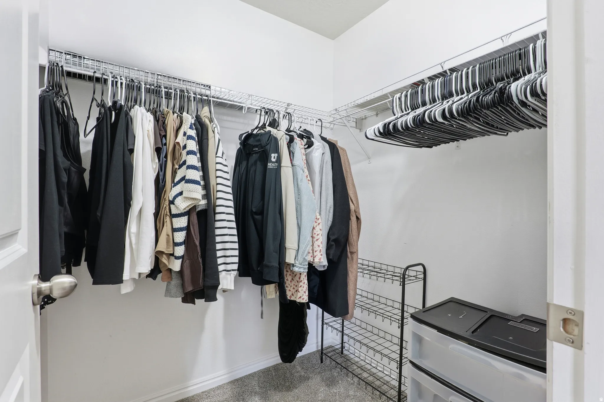 Walk-in closet featuring permanent wire shelving and carpet flooring