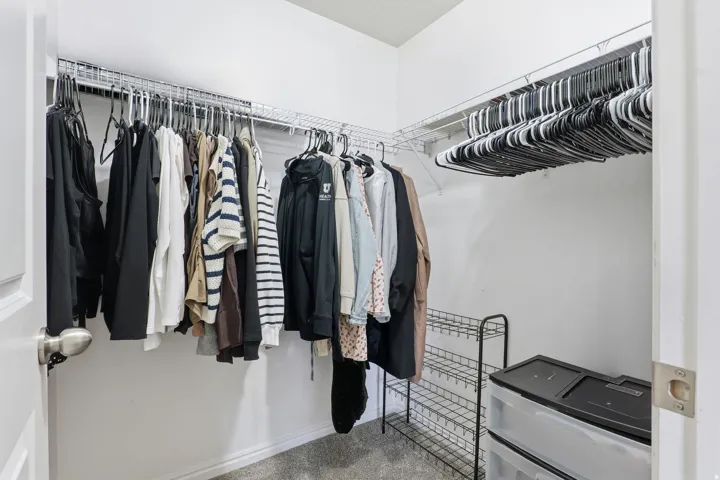 Walk-in closet featuring permanent wire shelving and carpet flooring