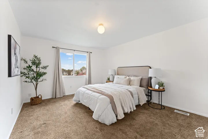 Neutral wall tones with a window, wall-to-wall carpeting, and a ceiling-mounted light fixture