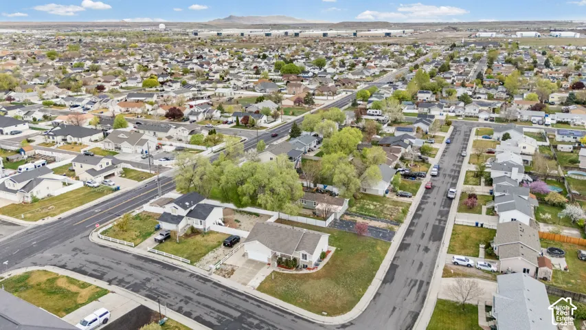 Residential neighborhood with mature trees and paved streets