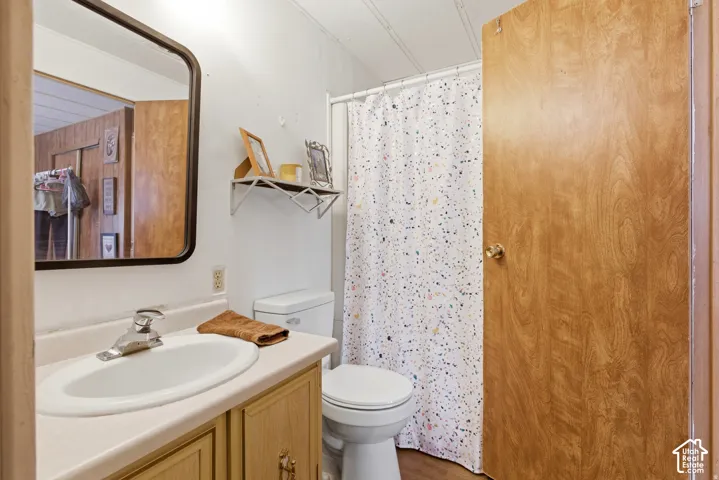 Bathroom featuring a single vanity, a toilet, a shower, and a wall-mounted mirror