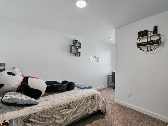 Plush carpet flooring, white painted walls, and a recessed ceiling light fixture