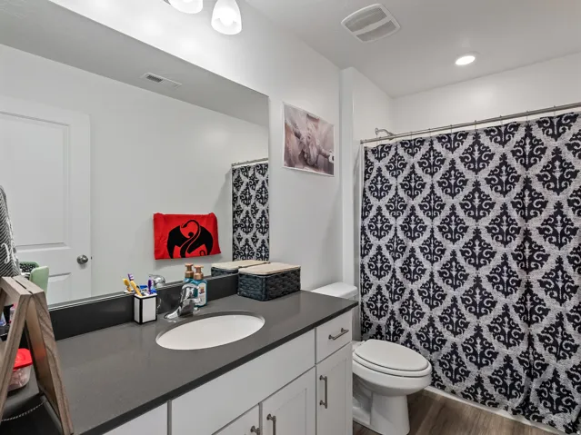 Bathroom featuring a vanity with a dark countertop, an undermount sink, and wood-finish flooring