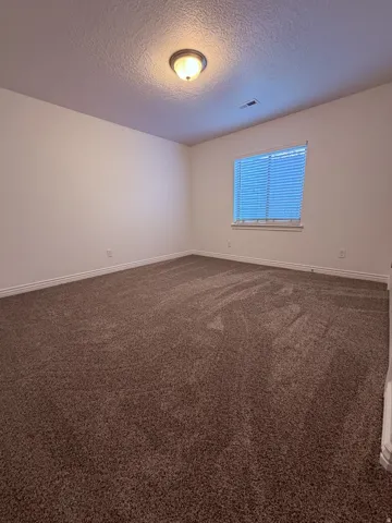 Neutral wall tones, plush carpet flooring, and a flush mount ceiling light fixture