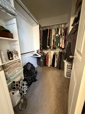 Built-in shelving, wire closet organization system, carpeted flooring, and a white paneled door