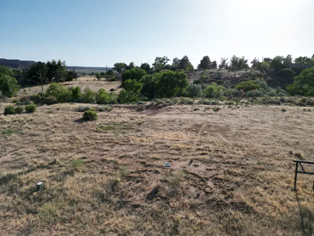 Expansive open terrain with natural vegetation and distant verdant trees