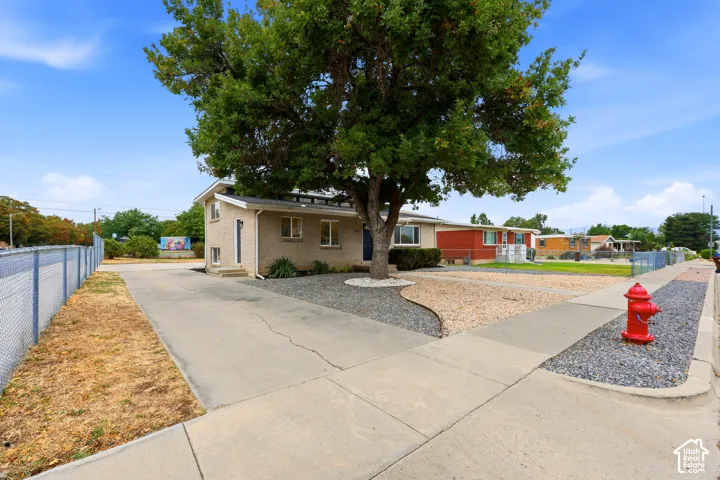 Stucco exterior, mature tree, concrete driveway, gravel landscaping, chain-link fencing