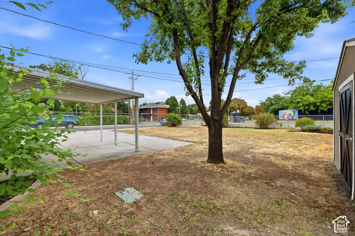 Expansive outdoor area featuring a mature tree, detached shed, and covered concrete patio