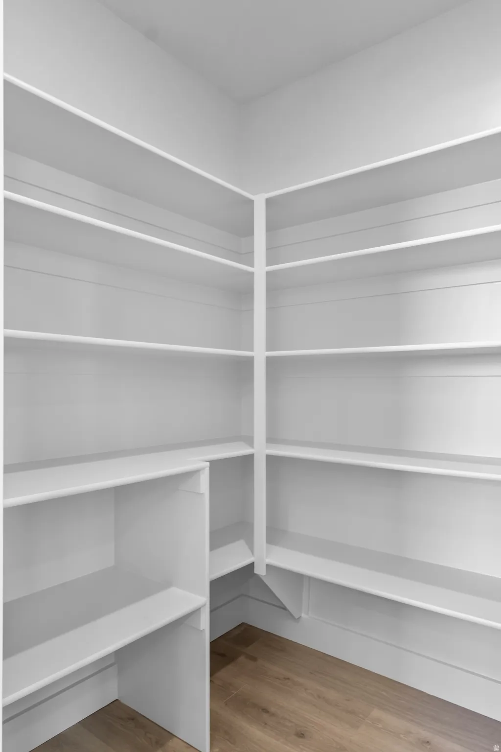 Built-in shelving with multiple storage levels and wood-finish flooring