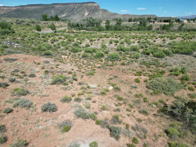 Expansive terrain featuring natural ground cover