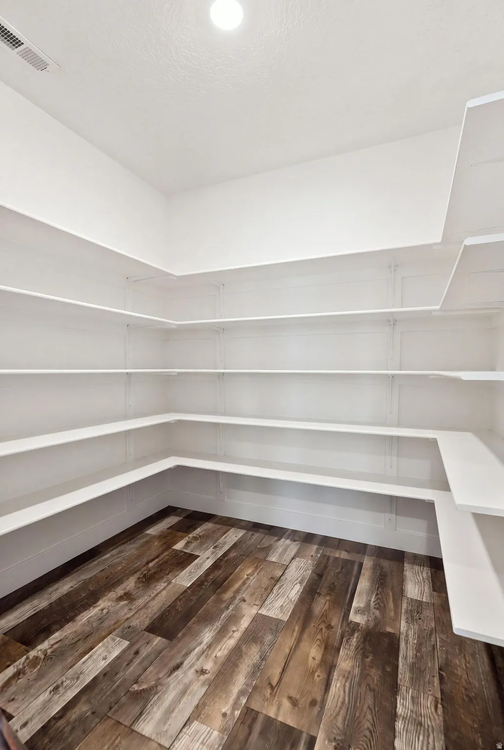 Showing the expansive pantry without items
