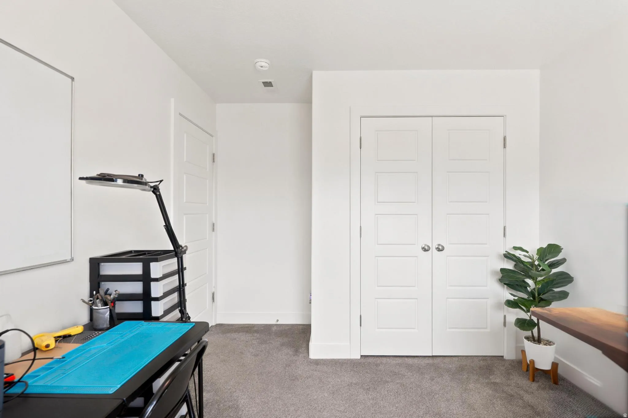 Neutral wall paint, carpet flooring, paneled interior doors, and white trim