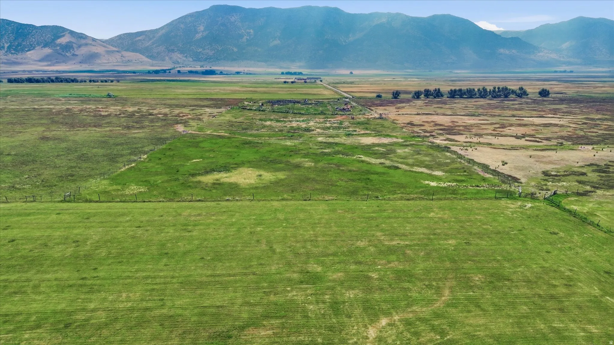 Expansive green fields with distant mountains and a clear sky