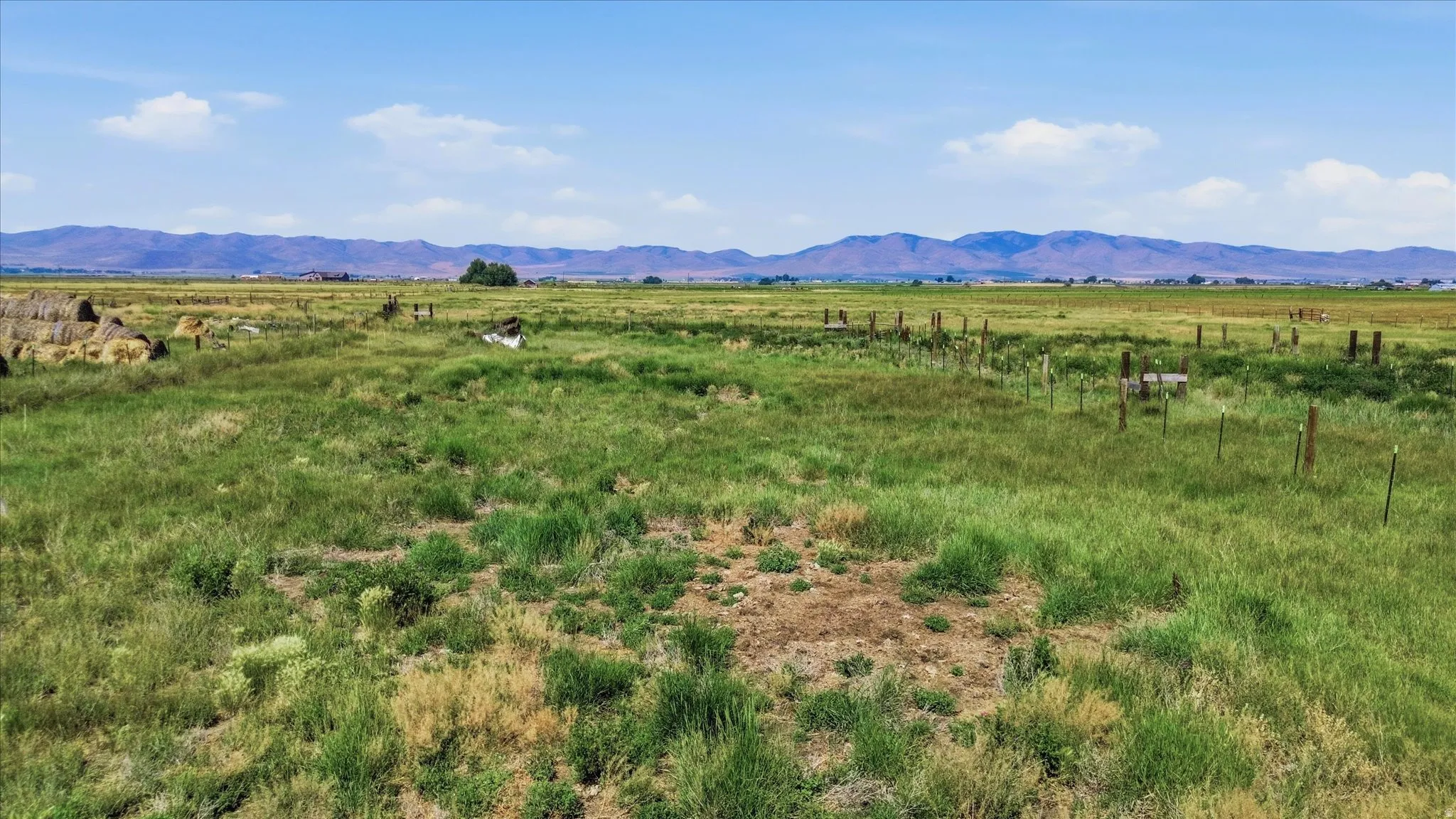 Expansive open land with a distant mountain range backdrop