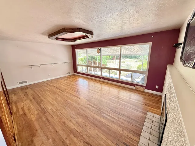 Hardwood flooring, expansive window, built-in fireplace, tile hearth, and ceiling light fixture