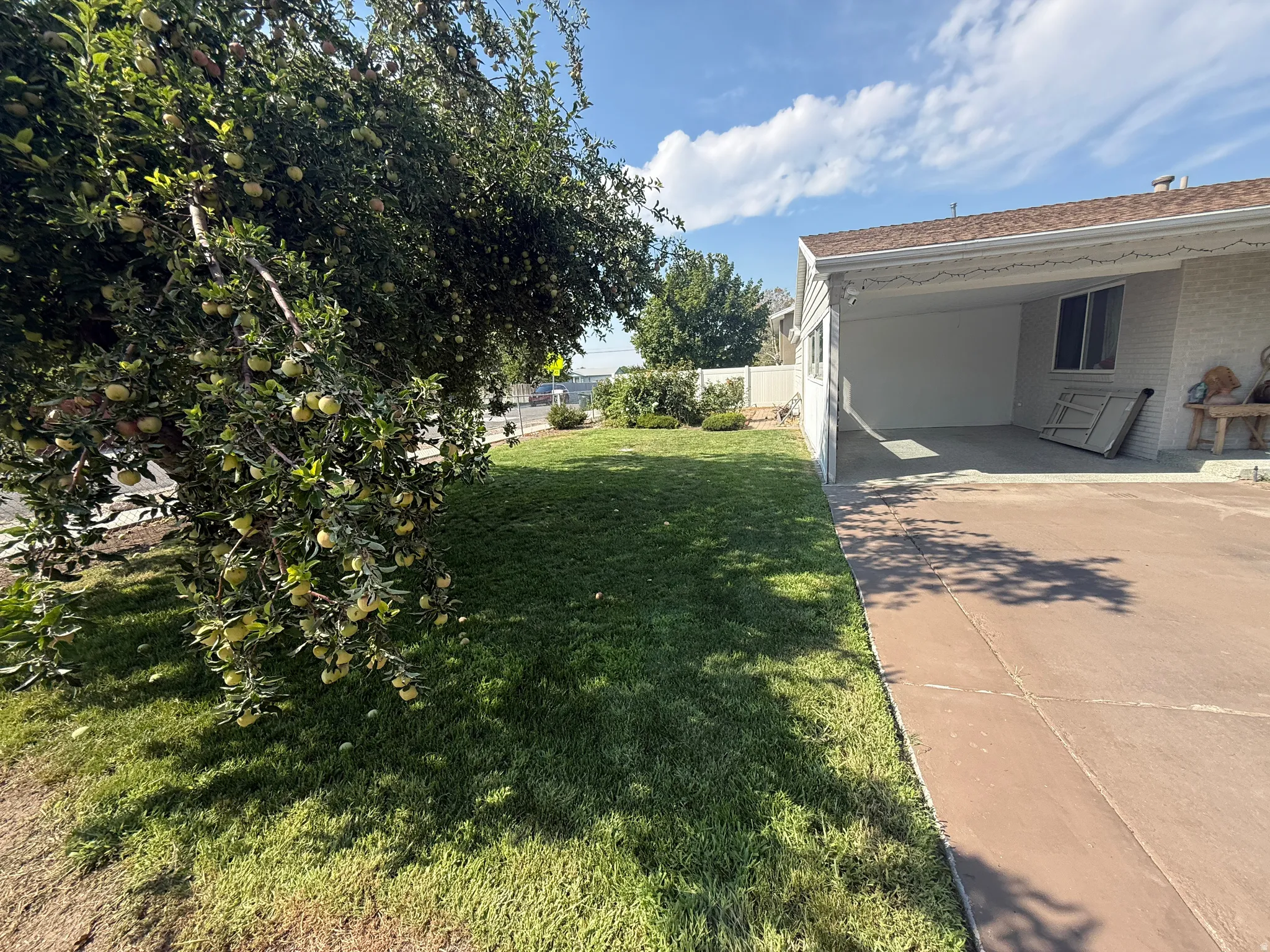 Expansive lawn, mature fruit-bearing tree, paved driveway, covered carport, and white privacy fence