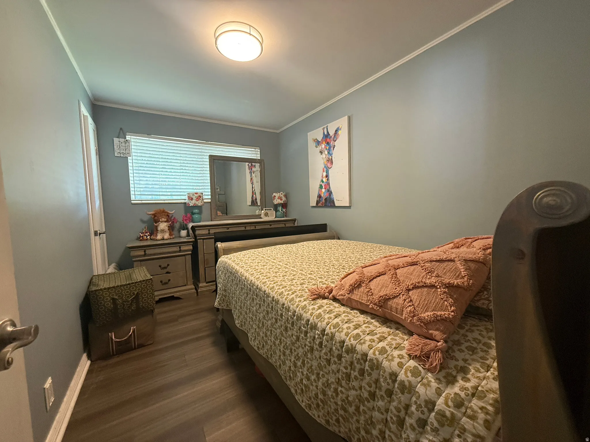 Wood-finish flooring, light blue wall paint, white trim, and a ceiling-mounted light fixture