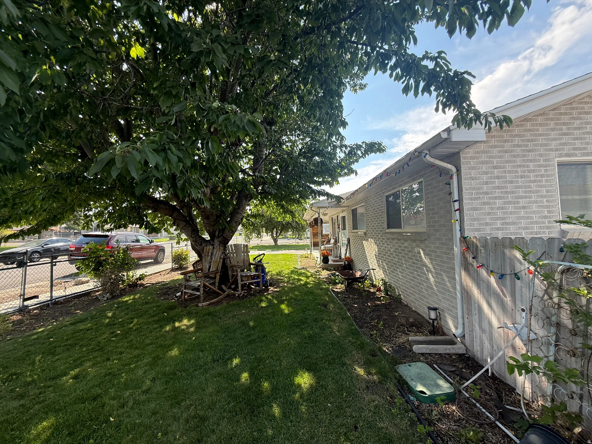 Manicured lawn with mature shade tree