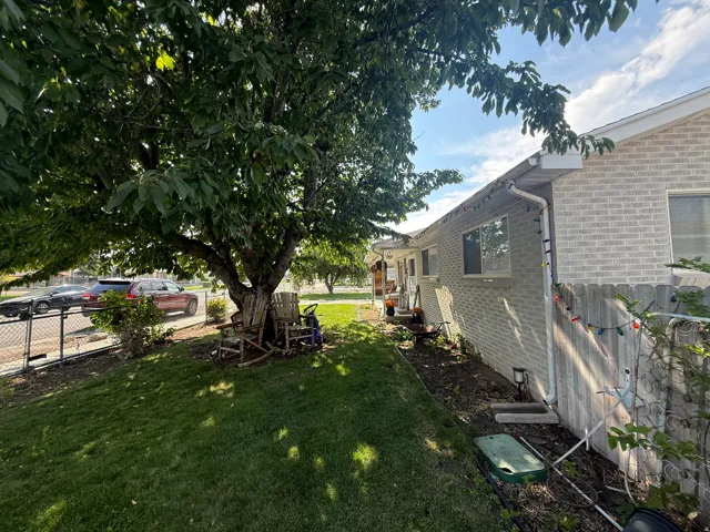 Manicured lawn with mature shade tree