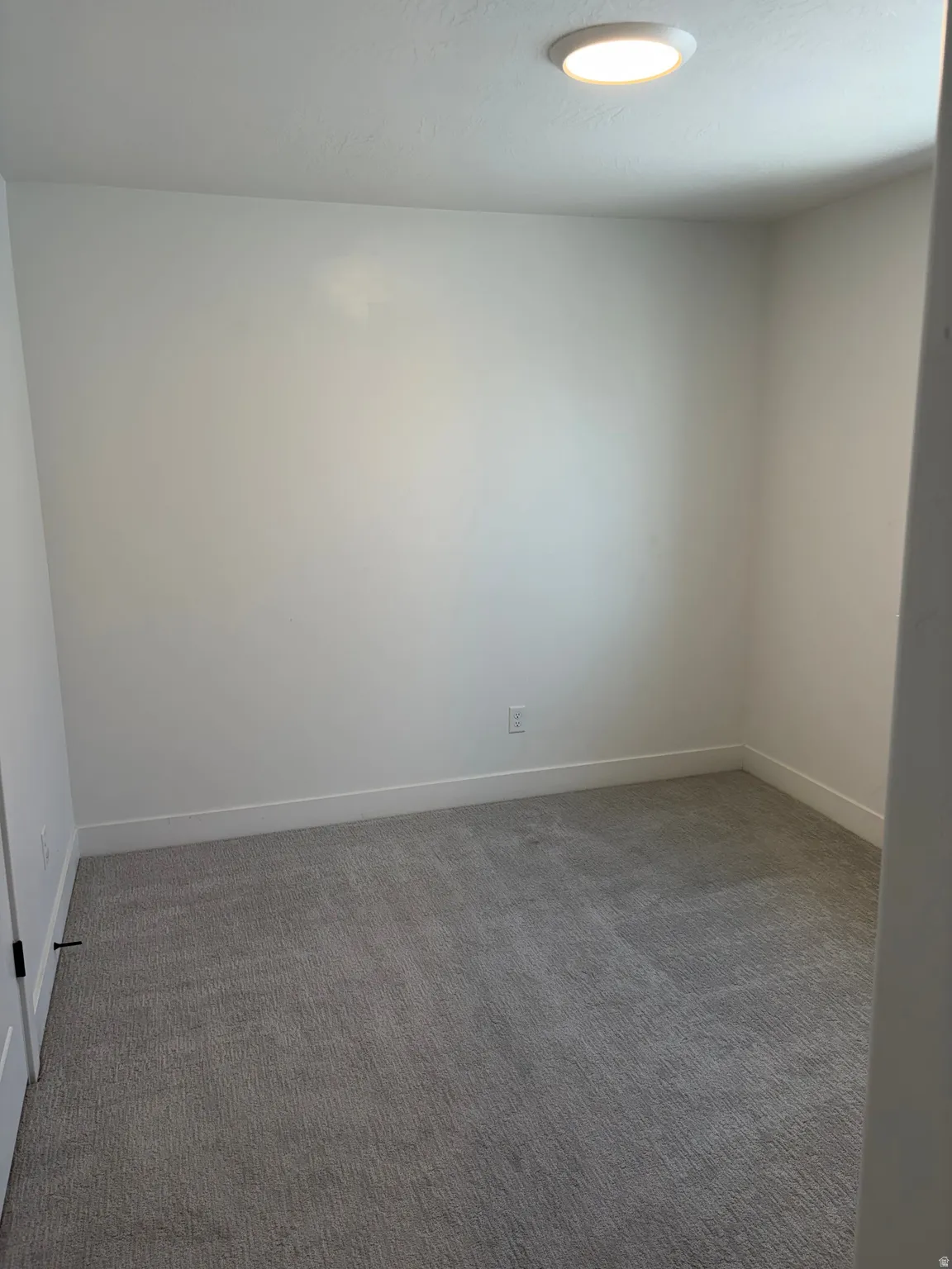 Neutral tone wall color with a flush-mount ceiling light and plush gray carpeting