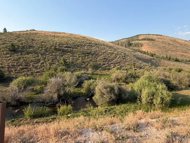 Rolling hills with varied vegetation