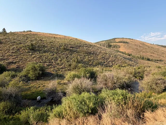 Expansive natural landscape featuring rolling hills and varied vegetation