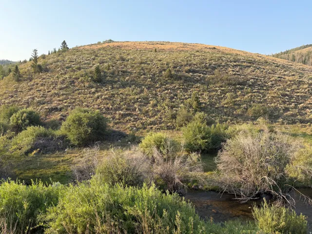 Rolling hillside topography with natural vegetation, a clear water feature, and scattered mature trees