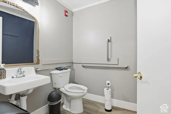 Wall-mounted ceramic sink, wall-mounted grab bars, white toilet, wood-finish flooring, and a decorative mirror