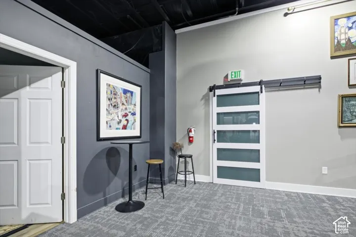 Modern sliding barn door with frosted glass panels, textured carpet flooring, and a ceiling-mounted track lighting system
