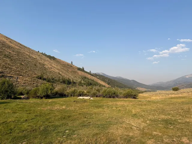 Expansive natural landscape with rolling hills, a verdant valley floor, and scattered trees